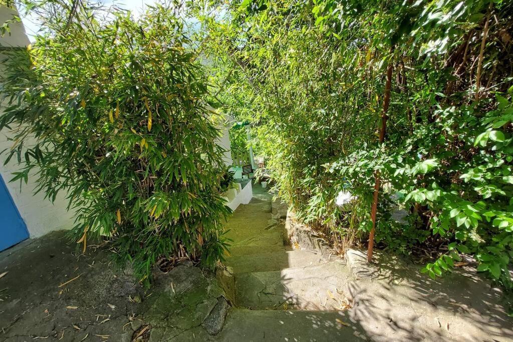 La Huerta Del Castillo Con Su Caz De Agua - Enjoy Life & Relax Castillo de Locubin Ngoại thất bức ảnh