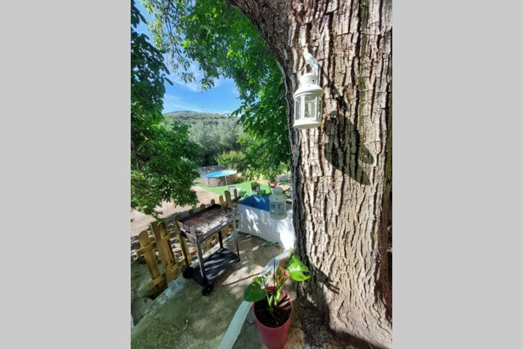 La Huerta Del Castillo Con Su Caz De Agua - Enjoy Life & Relax Castillo de Locubin Ngoại thất bức ảnh