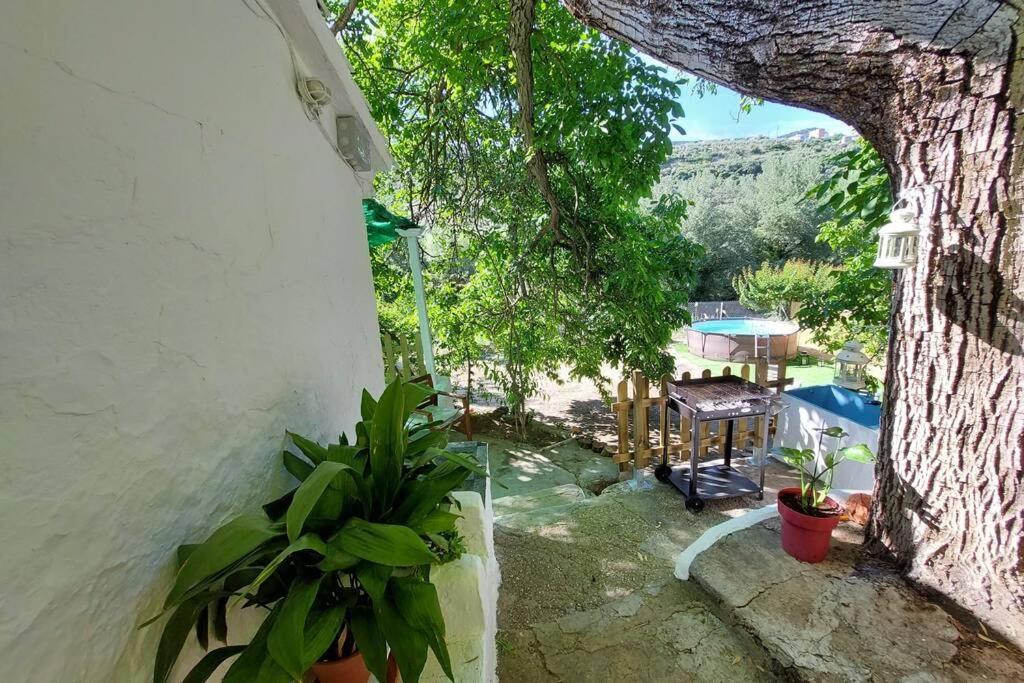 La Huerta Del Castillo Con Su Caz De Agua - Enjoy Life & Relax Castillo de Locubin Ngoại thất bức ảnh