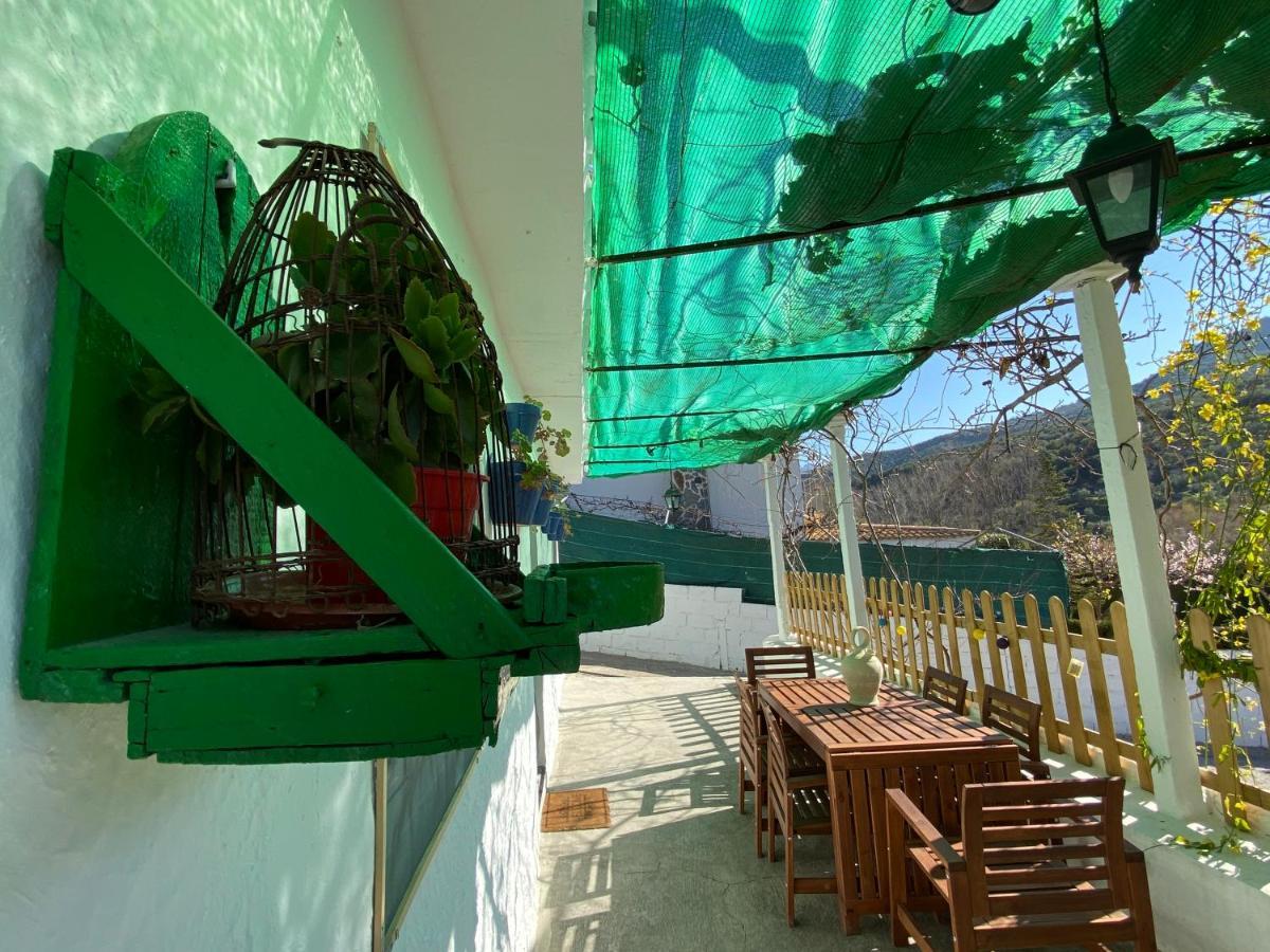 La Huerta Del Castillo Con Su Caz De Agua - Enjoy Life & Relax Castillo de Locubin Ngoại thất bức ảnh